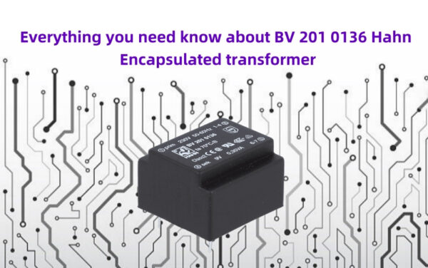 Everything you need know about BV 201 0136 Hahn Encapsulated ...